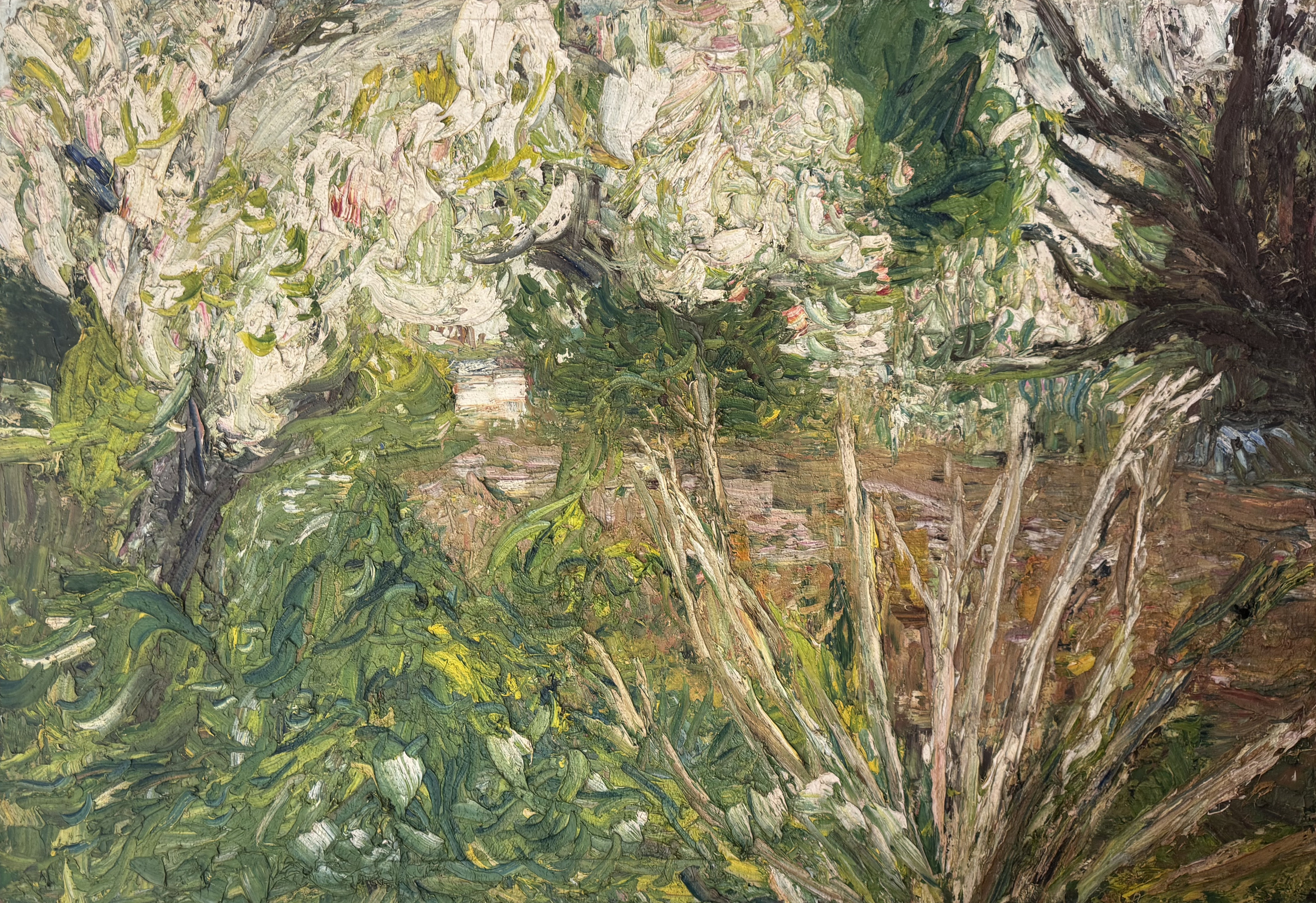 Apple Tree in Blossom, Mulberry Tree and Golden Rod Sticks, 1969