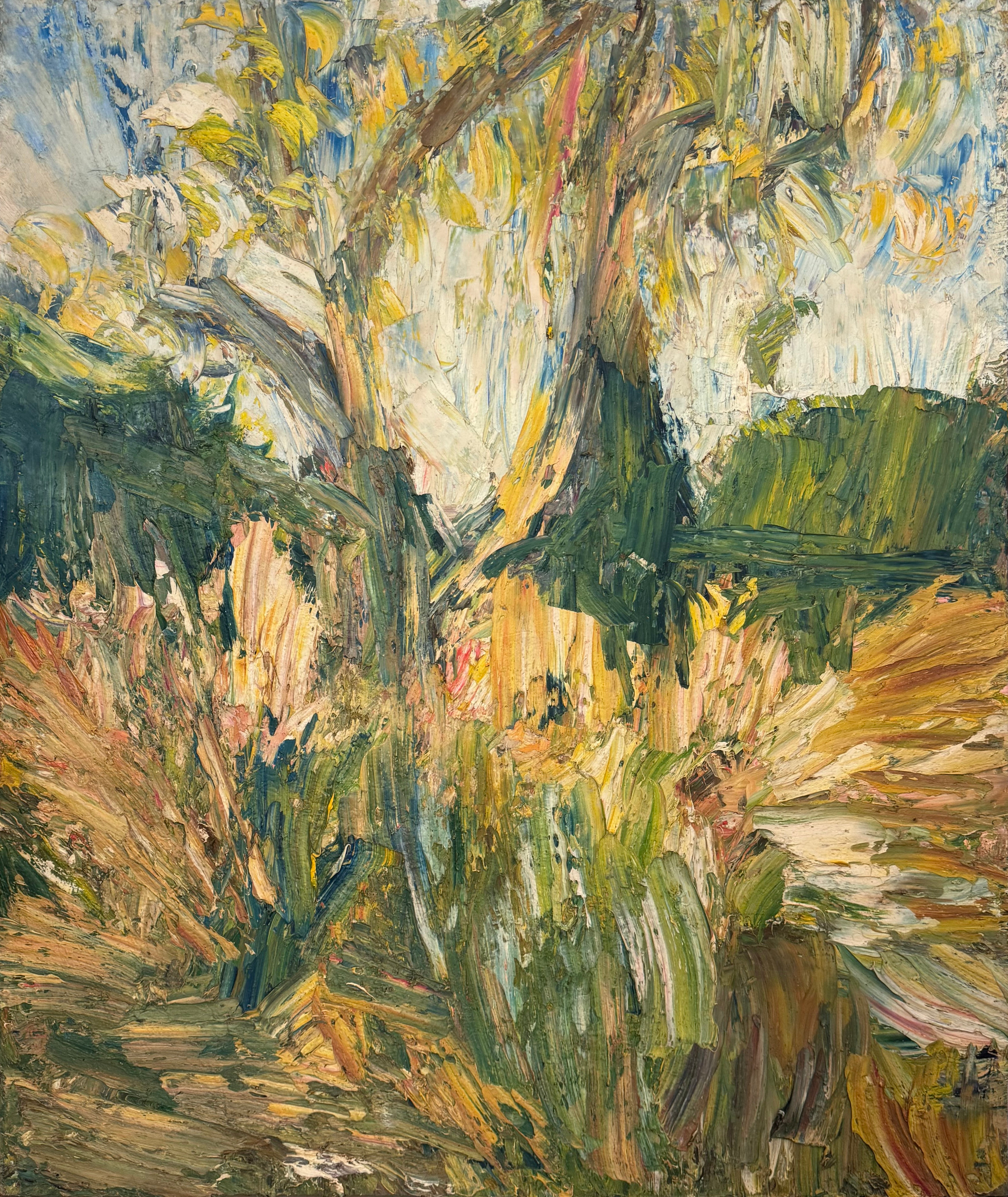 Greengage Tree, 1969